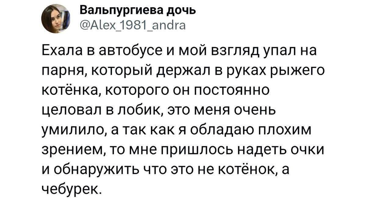 Вальпургиенв дочь Аъех 1981 тога Ехала в автобусе и мой взгляд упал на парня который держал в руках рыжего котёнка которого он постоянно целовал Е ПОБИК ЭТО меня ОЧЕНЬ УМИЛИЛО а ТЗК как Я обладаю ППОХИМ зрением то мне пришлось надеть очки и обнаружить что это не котёнок а чебурек