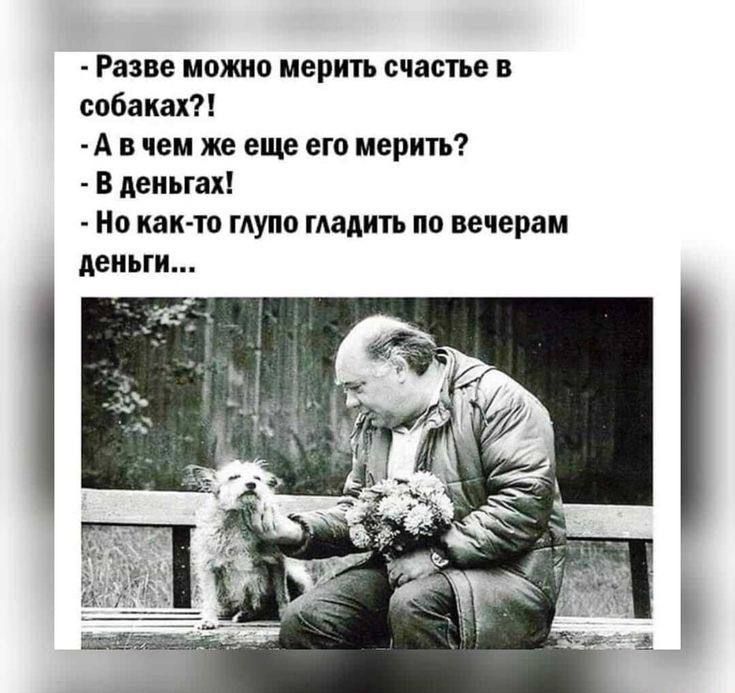 Разве мото мерить счастье в собаках А в чеи же еще его мерить в деиьгахі Ип как то пупа глади пп вечерам