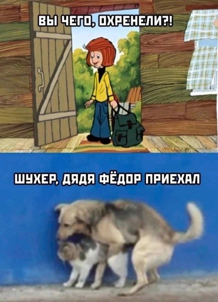 _ЕГП ПХРЕНЕЛИ