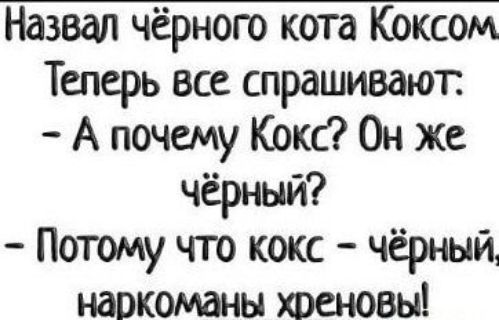 Назвал чёрного кота Коксом Теперь все спрашивают А почему Кокс Он же чёрный Потому что кокс чёрный наркоманы хреновы