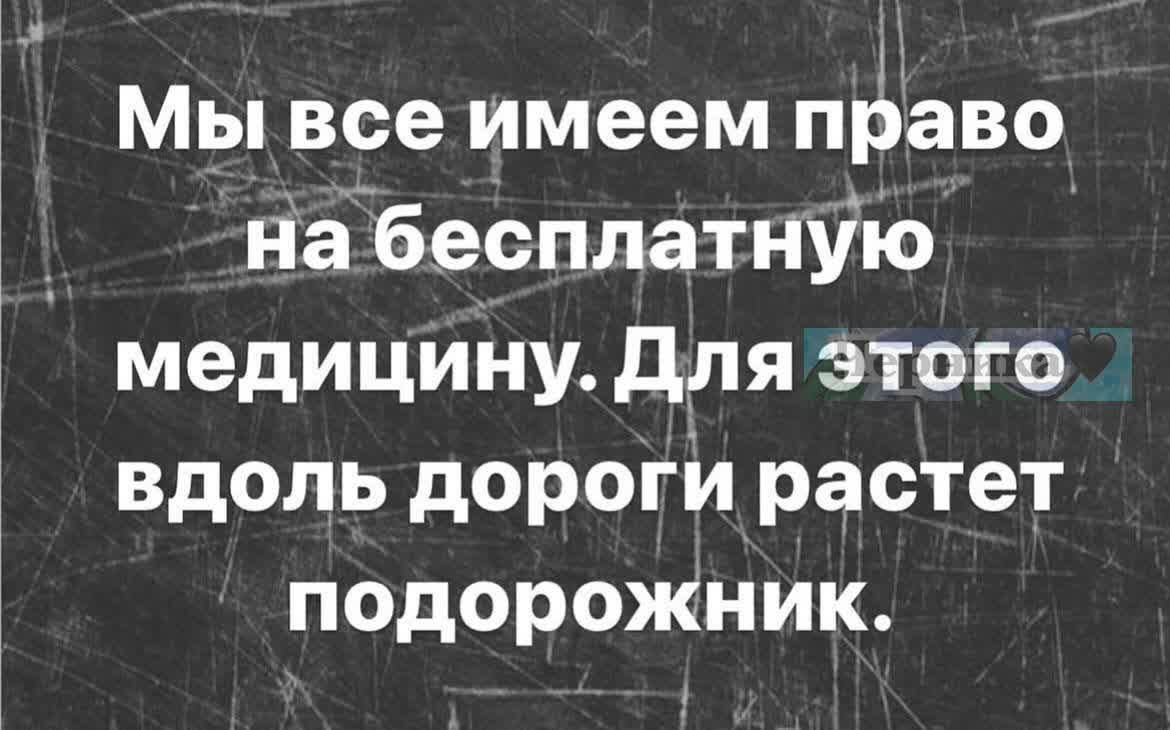 Мы все имеем позво _ набесплатную медицину для этого вдоль дороги растет подорожник