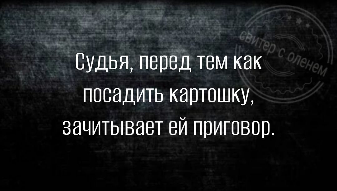 Судья перед тем как посадить картошку зачитывает ей приговор