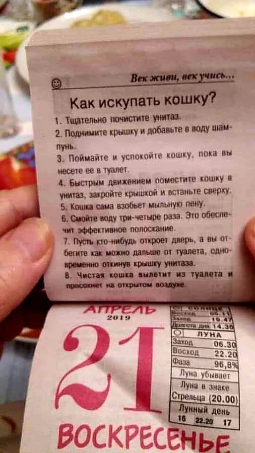 Тиви 1 9 крышку любиш в полу шн пуиь 3 Пойиаіш и успшиип шшц итп ни не ее чумы Барш мик иии мжгме кошку 1 шашкой и мне шоку 5 Кши по пыльцу 7 шп или григамм рия эт обои чп 7 шо дцп п аъ шп _ им ш тип пши и п шап п