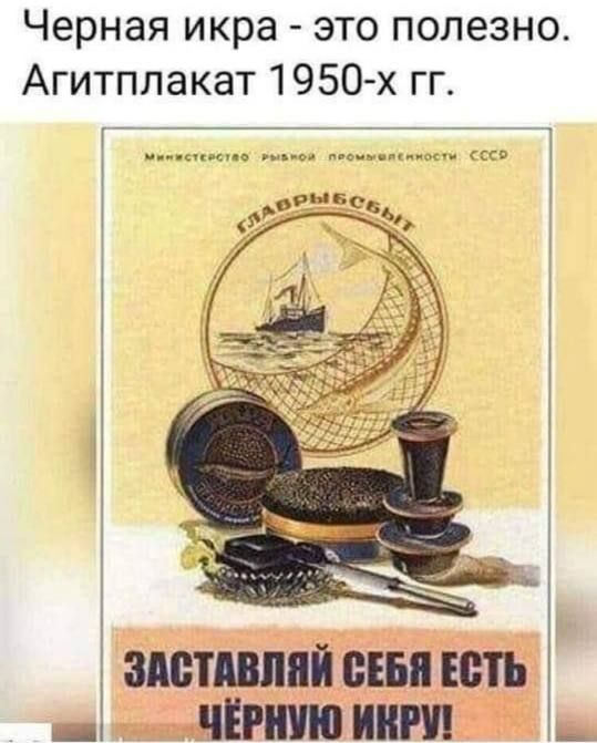 Черная икра это полезно Агитплакат 1950 х гг і і ЗПВТЩПЙ БЕН ШП 5 мнит ИШ