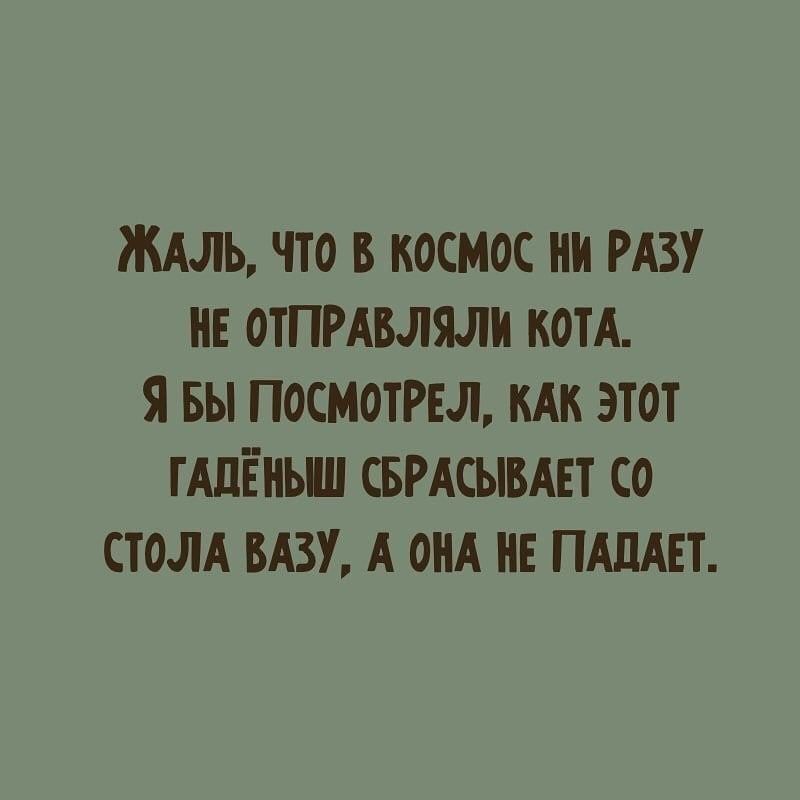 ЖАЛЬ ТТО В КОСМОС НИ РАЗУ ИЕ ОТПРАВЛЮ КОТА я БЫ ПОСМОТРЕЛ КАК ЭТОТ ТАЛЁНЬШ СБРАСЫБАЕТ СО СТОЛА БАЗУ А ОПА НЕ ПАПАЕТ