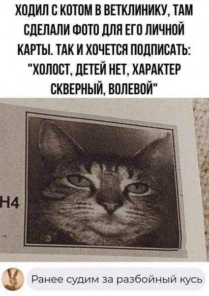 ходил с котом в ветклинику тдм СДЕЛАЛИ шото длина личной кдрты тдк и хочпвя пплписАтЬ холост дшй нп ХАРАКТЕР сквврный ВОЛЕВПЙ чу Ранее судим за разбойный кусь