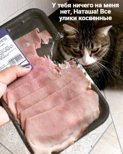 тебя ничегп на меня нет Наташа Все улики косвенные