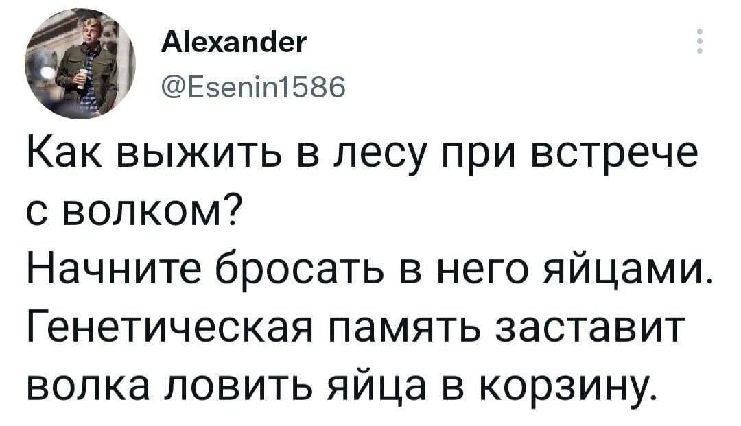 Аіехапаег ЕзепітБЗб Как выжить в лесу при встрече с волком Начните бросать в него яйцами Генетическая память заставит волка ловить яйца в корзину