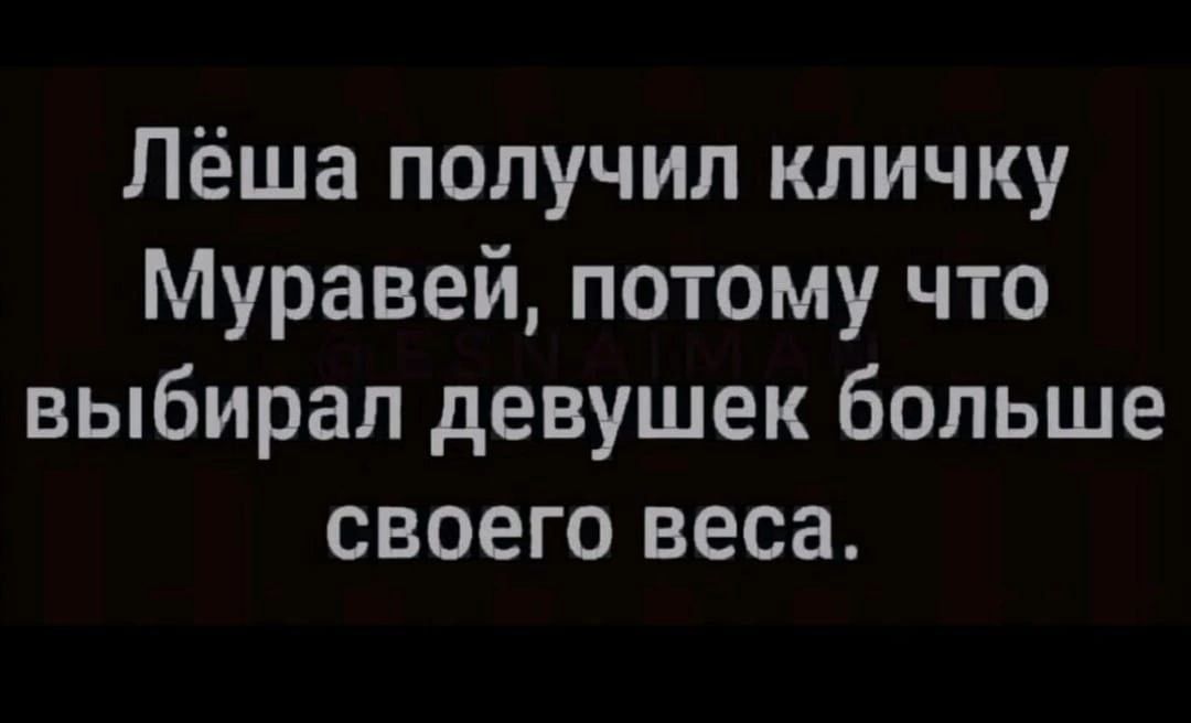 Лёша получил кличку Муравей потому что выбирал девушек больше своего веса