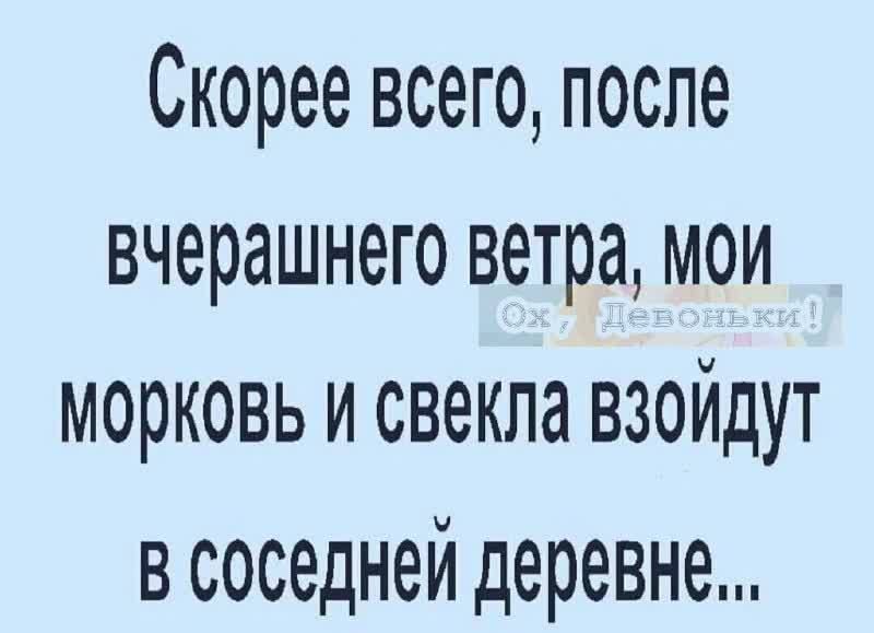 Скорее всего после вчерашнего ветра мои морковь и свекла взойдут в соседней деревне