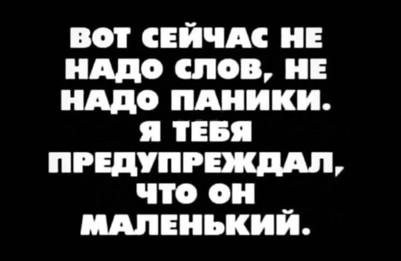 вот снйчдс и иддо шов и иддо пдиики я пвп пгвдупгвжддл что он _ ШЕНЪКИИ