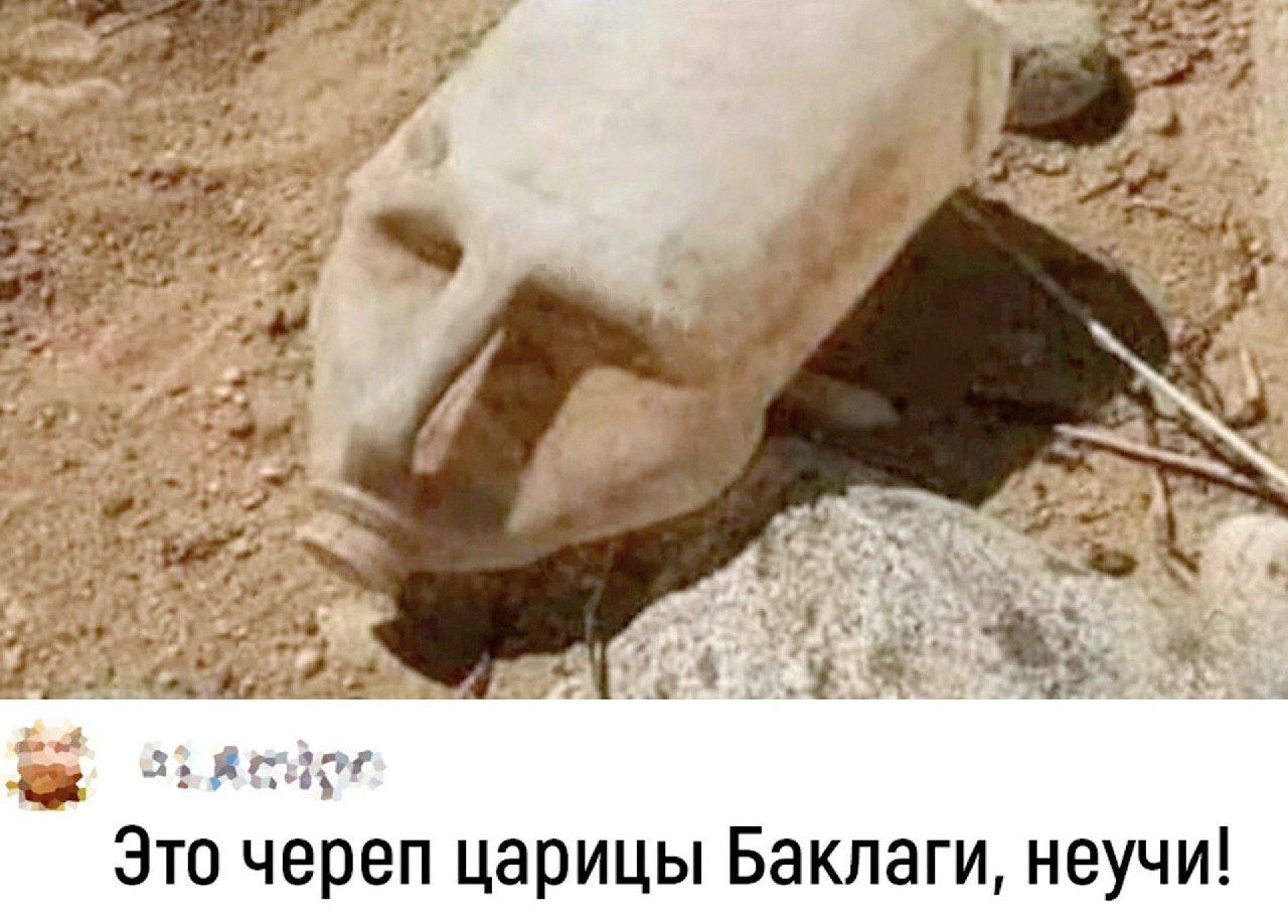 Зто череп царицы Бакпаги неучи