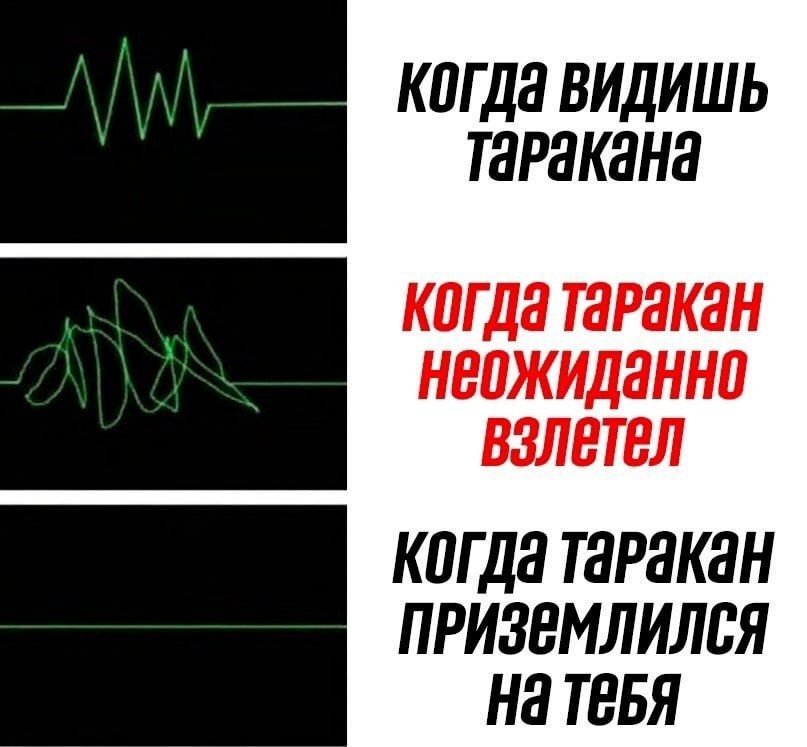 КПГ ДЗ ВИДИШЬ ТЗРЗКЗНЗ К0ГД8 ШРЗКЗН НВПЖИДЗННП ВЗЛВТВЛ КПГ ДЗ ТЗРЗКЯН ПРИЗЕМЛИЛЬЯ НЗ ТЕБЯ