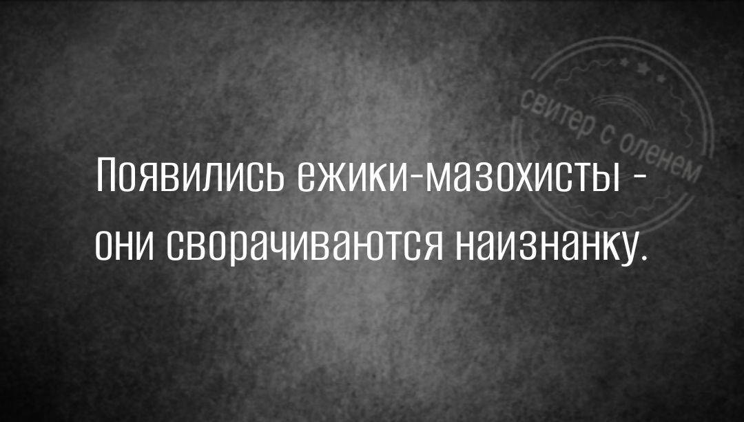 ПОЯВИЛИСЬ ЕЖИКИМЭЗПХИСТЫ ОНИ СВППНЧИЕИЮТСЯ ННИЗНЭНКУ