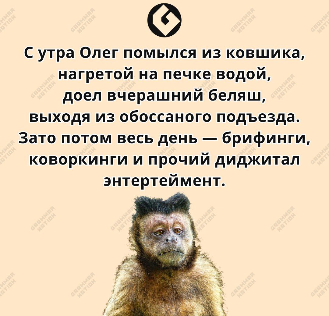 С утра Олег помыпся из ковшика нагретой на печке водой доел вчерашний бепяш выходя из обоссаного подъезда Зато потом весь день брифинги коворкинги и прочий диджитал энтертеймент