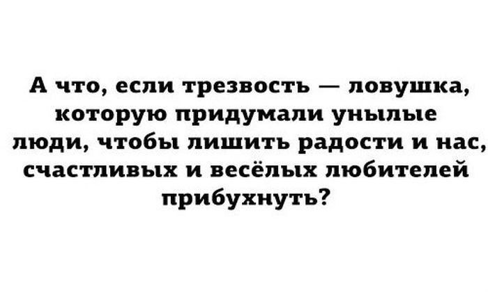 А что если трезвость ловушка которую придумали унылые люди чтобы лишить радости и нас счастливых и весёлых любителей прибухиуть