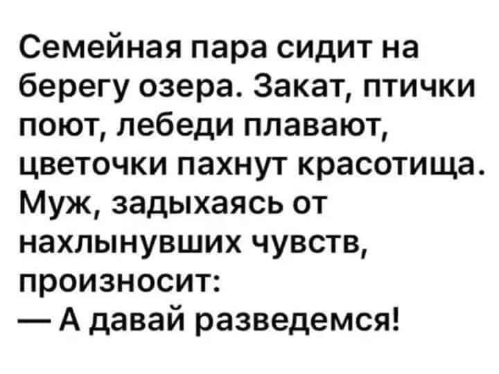 Семейная пара сидит на берегу озера Закат птички поют лебеди плавают цветочки пахнут красотища Муж задыхаясь от нахлынувших чувств произносит А давай разведемся