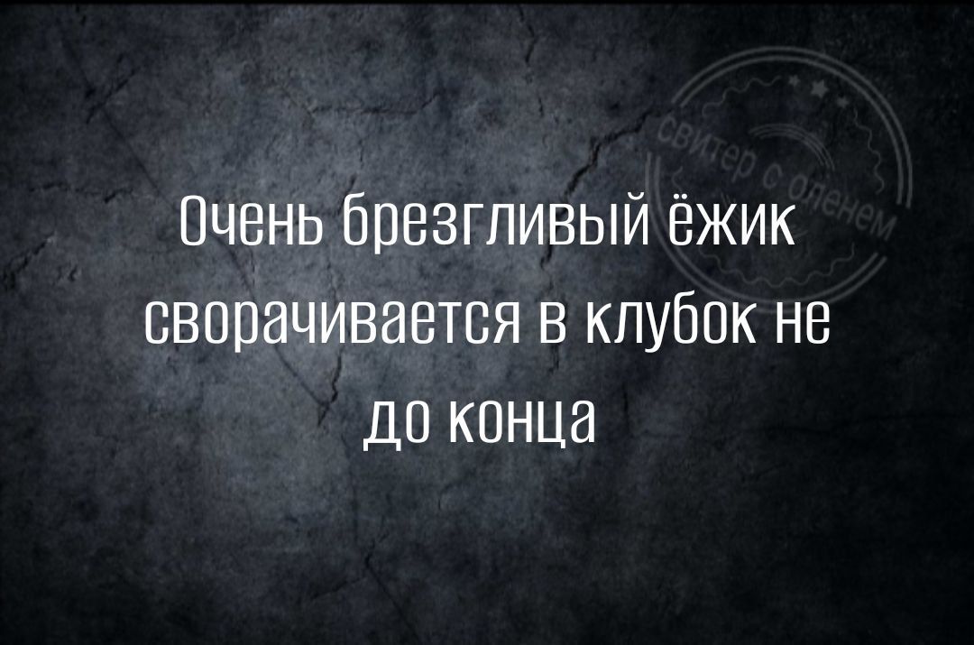 Очень бпезгливый Ёжик свппачивавтся в клубок не до конца