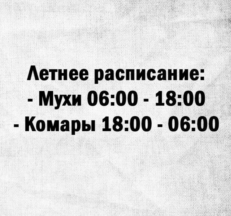 Аетнее расписание Мухи 0600 1800 Комары 1800 0600