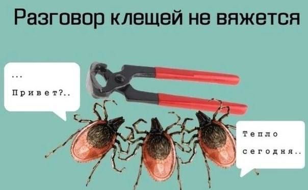 Разговор клещей не вяжется