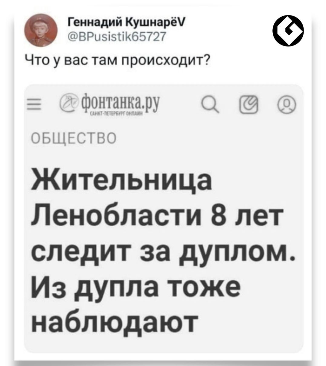 Геннадий Кушнира ВРЦЫЧНКББПТ Что у вас там происходит Фонтанка ру 5 ОЫЩ КТП Ю Жительница Ленобласти 8 лет следит за дуплом Из дупла тоже наблюдают