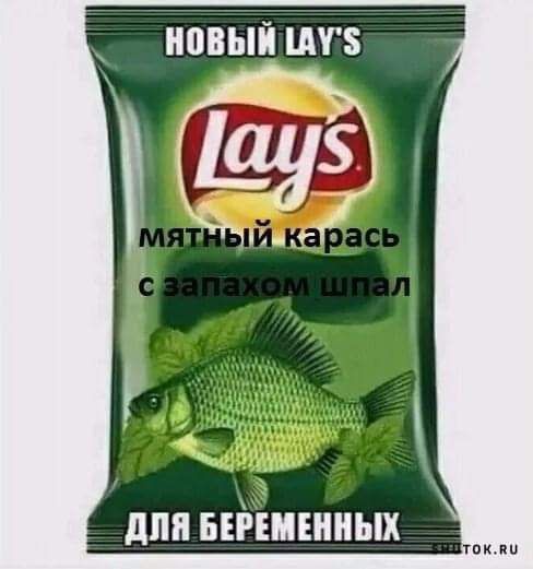 НПВЫЙ ШУЗ дпп ыгшінных