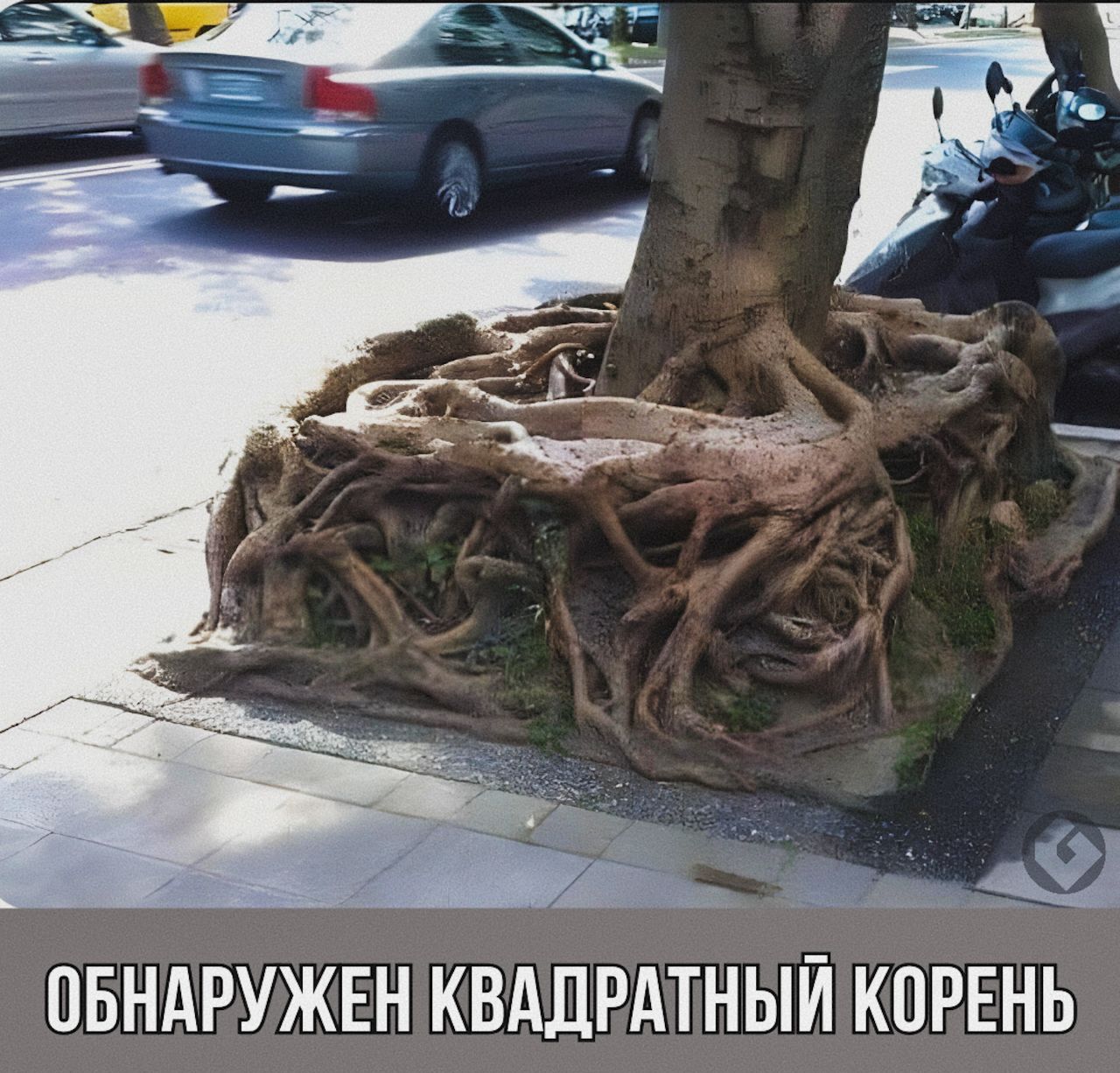 овндружвн КВАДРАТНЫЙ КОРЕНЬ