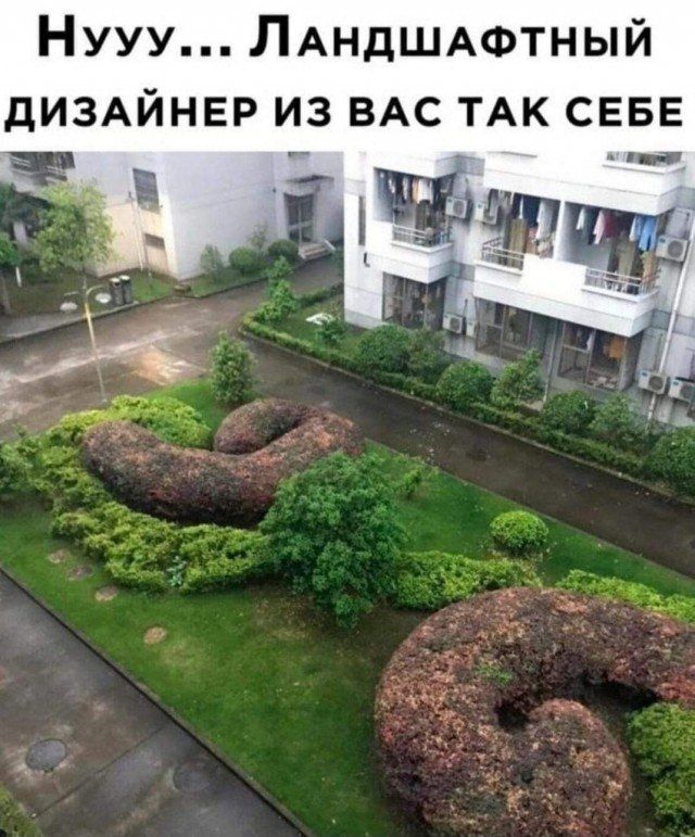 Нууу ЛАНДШАФТНЫЙ диздйнвр из вдс ТАК СЕБЕ