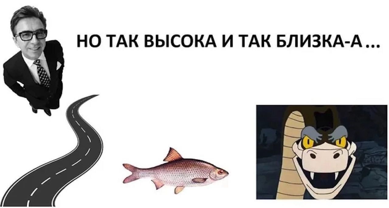 НО ТАК ВЫСОКА И ТАК БЛИЗКА А