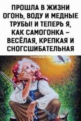 ПРОШЛА В ЖИЗНИ ОГОНЬ ВОдУ И МЕДНЫЕ ТРУБЫ И ТЕПЕРЬ Я КАК САМОГОНКА ВЕСЁЛАЯ КРЕПКАЯ И СНОГСШИБАТЕЛЬНАЯ