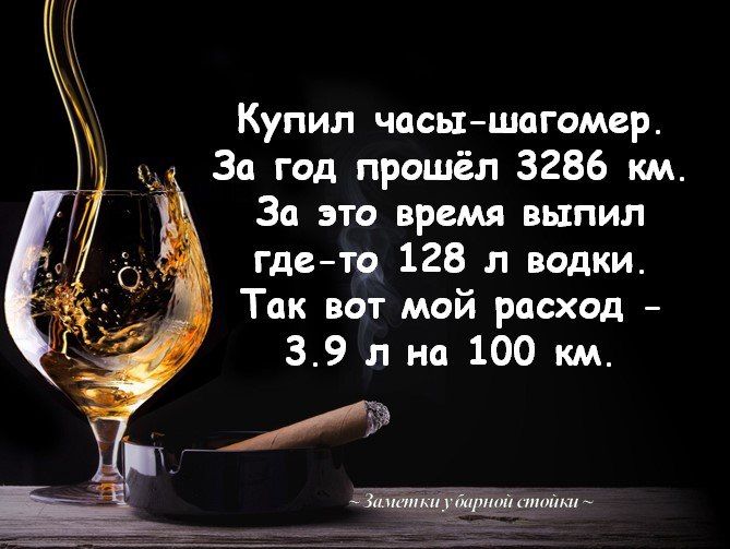 Купил часышагомер За год прошёл 3286 км За это время выпил гдето 128 л водки Так вот мой расход 39 л на 100 км