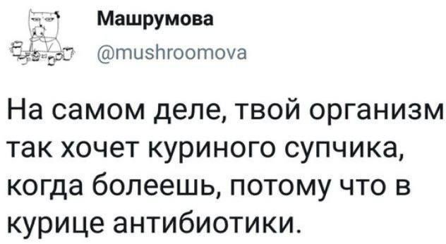 Машрумова тызпгоотоуа На самом деле твой организм так хочет куриного супчика когда болеешь потому что в курице антибиотики