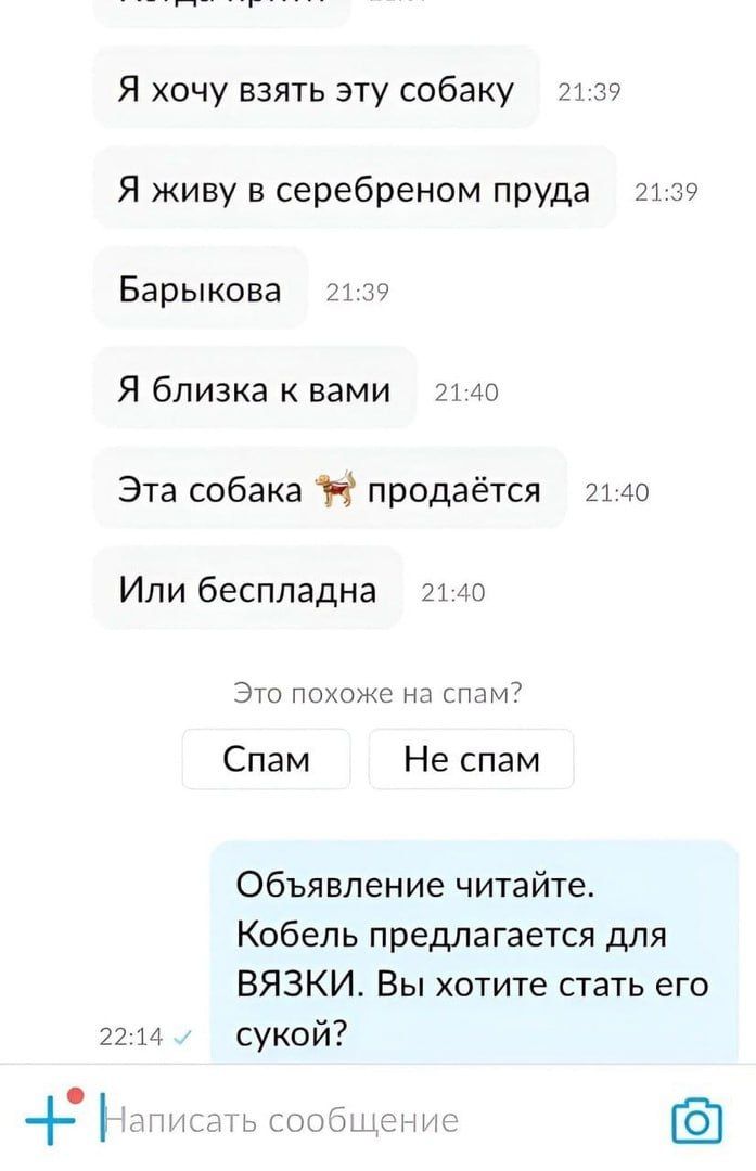 Я хочу взять эту собаку 21 ко Я живу в серебреном пруда 7х 19 Барыкова и Я близка К нами 7140 Эта собака 15 продаётся 21 40 Или беспладна и Э нохпже нд Шпм7 Спам Не спам Объявление читайтет Кобель предлагается для ВЯЗКИ Вы хотите стать его 22 и сукой