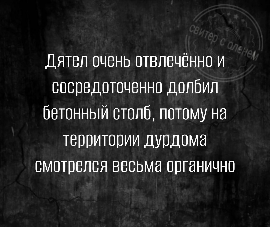 Дятел очень отвлечённо и сосредоточенно долбил бетонный столб потому на территории дурдома смотрелся весьма органично