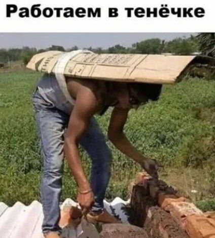 Работаем в тенёчке