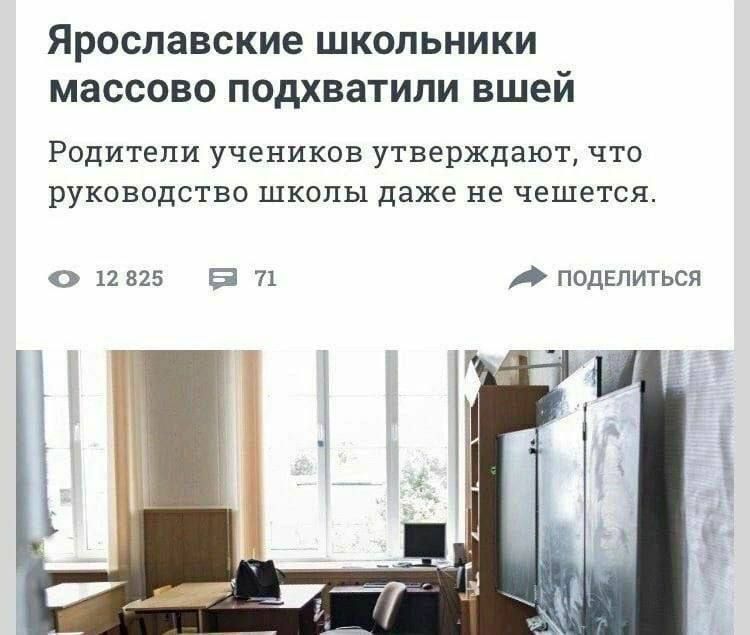 Ярославские школьники массово подхватили вшей Родители ученикпв утверждают что рукиводствс шкалы даже не чешется о 12825 а 71 ппдвпиться