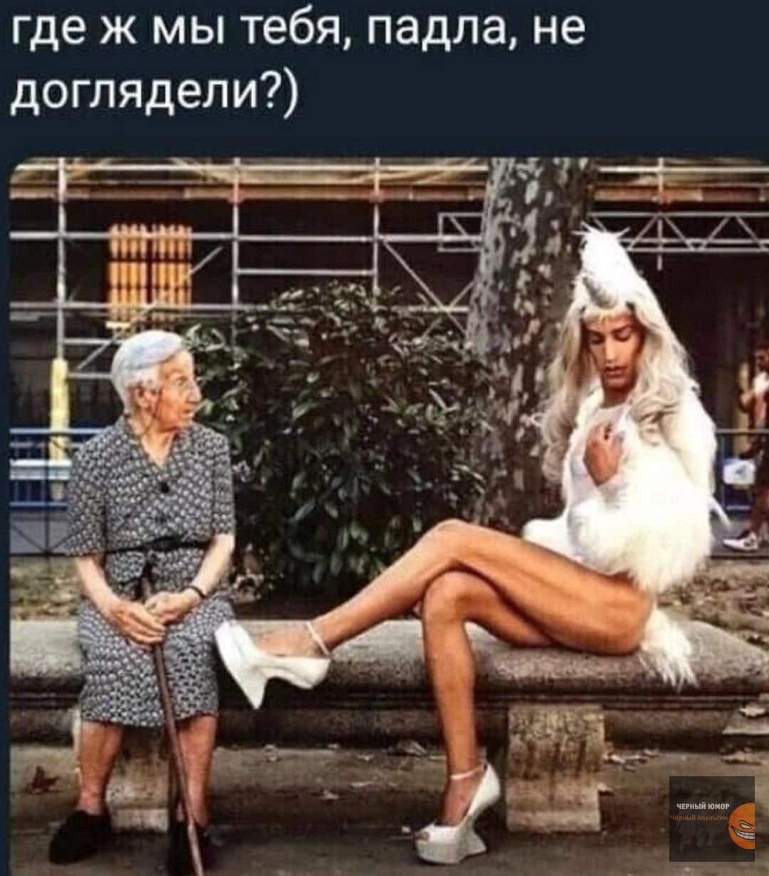 где ж мы тебя падла не доглядели