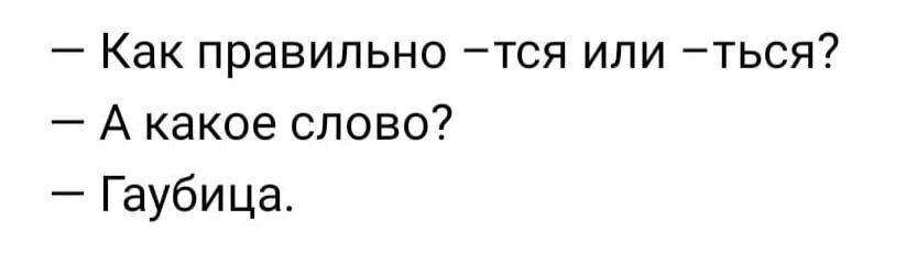 _ Как правильно ТСЯ ИЛИ ТЬСЯ7 А какое слово Гаубица