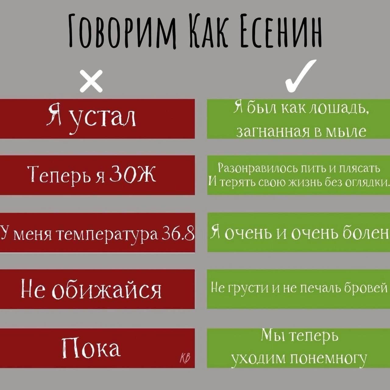 ЮВОРИМ КАК ШНИН Я устал Теперь я ЗОЖ меня температура 368 Не обижайся