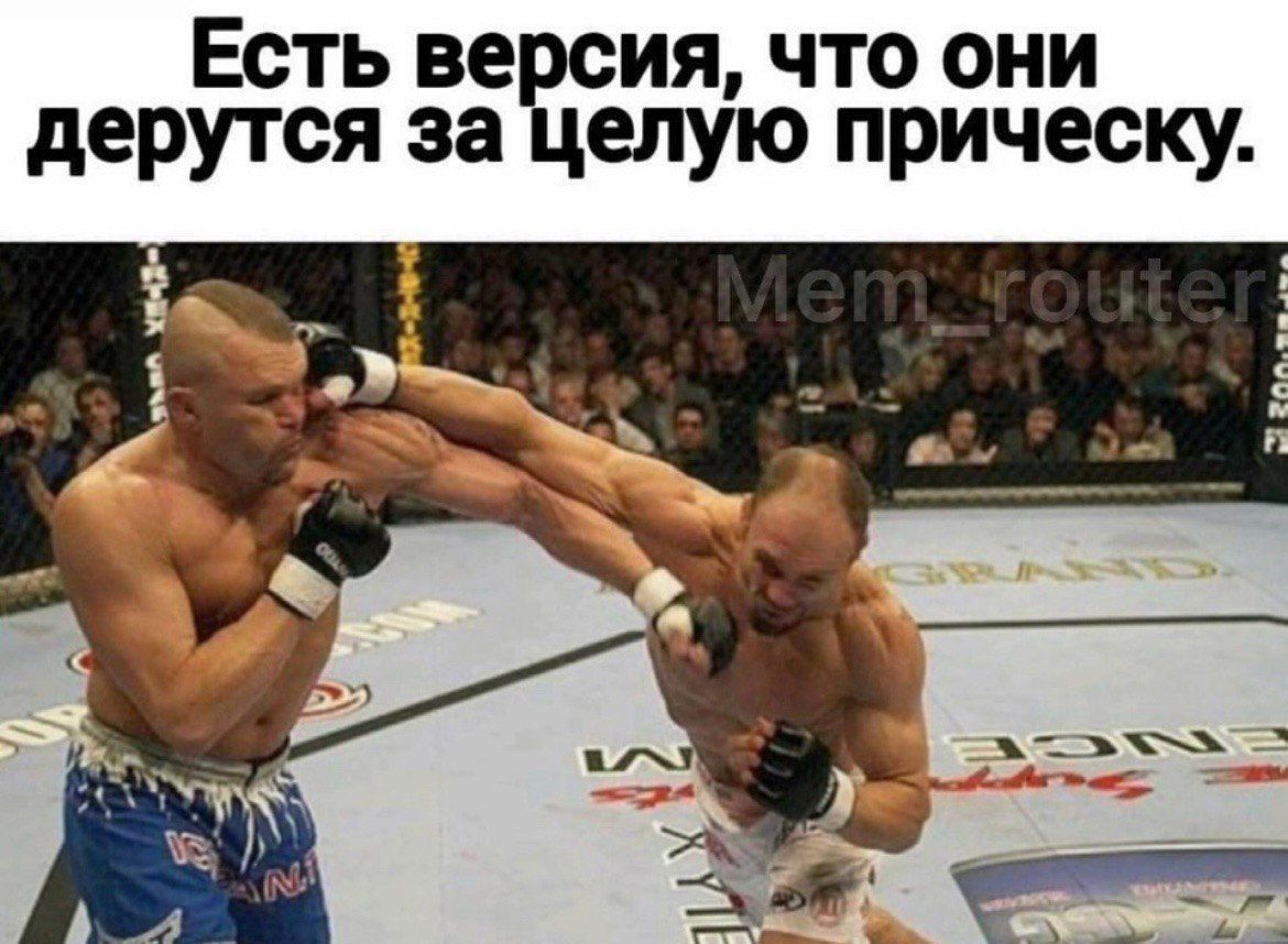 Есть ве сия что они дерутся за елую прическу