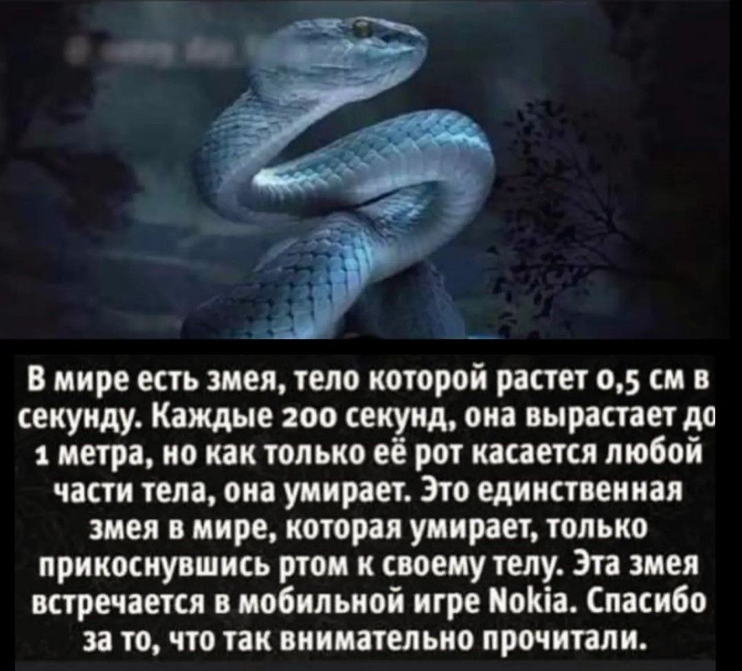 В мире есть змея тело которой растет о си секуиду Каждые зоо секунд он пираты до метра но как только рог касании любой части тем он умирает Эно единственная идея пир копии удивит только прикоснувшись том к своему телу Эта зип встречает о мобильной игр от Спасибо и то что так внимательна прочитали