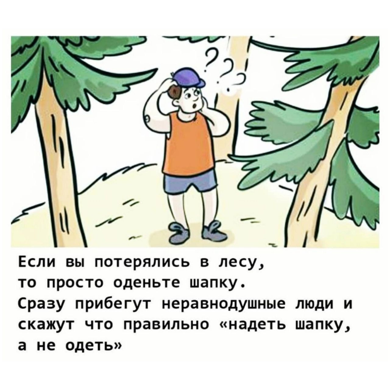 Если вы потерялись в лесу то прост оденьте шапку Сразу прибегут неравнодушные люди и скажут что правильно надеть шапку а не Меты