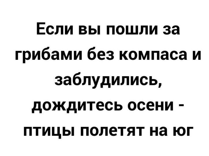 Если вы пошли за грибами без компаса и заблудились дождитесь осени птицы полетят на юг