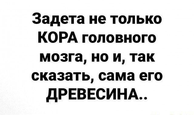 Задета не только КОРА головного мозга но и так сказать сама его дРЕВЕСИНА