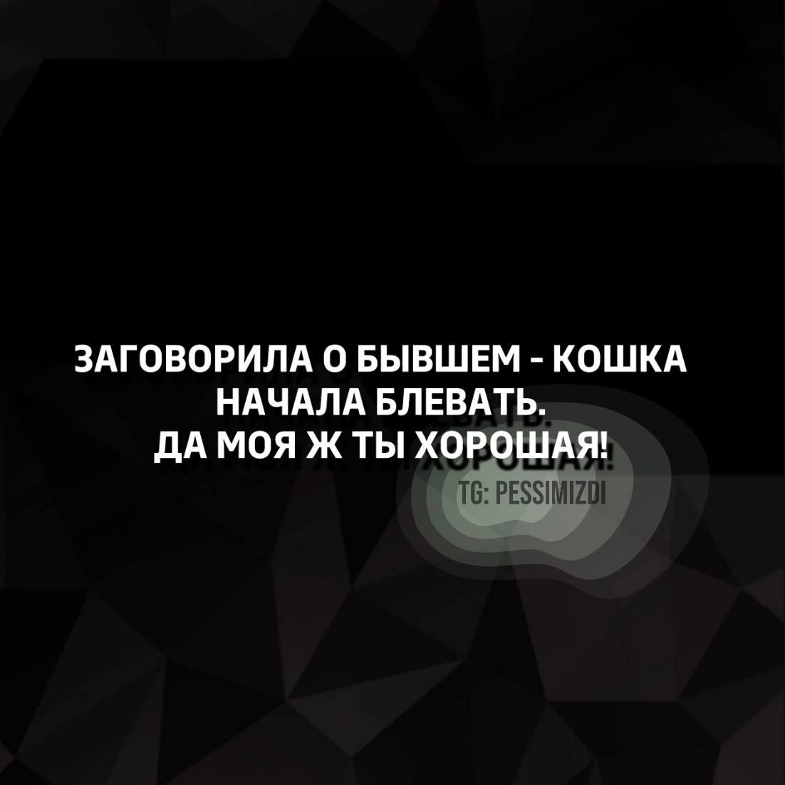 ЗАГОВОРИЛА О БЫВШЕМ КОШКА НАЧАЛА БЛЕВАТЬ дА МОЯ Ж ТЫ