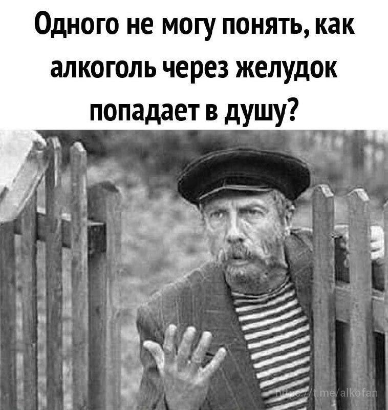 Одного не могу понять как алкоголь через желудок попадает в душу