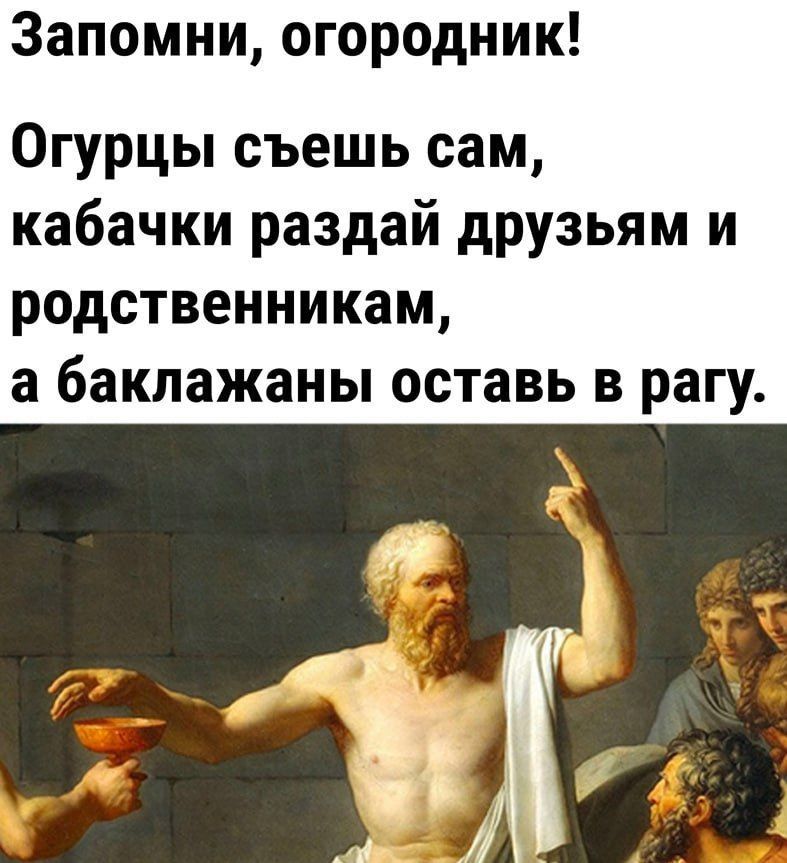 Запомни огородник Огурцы съешь сам кабачки раздай друзьям и родственникам а баклажаны оставь в рагу