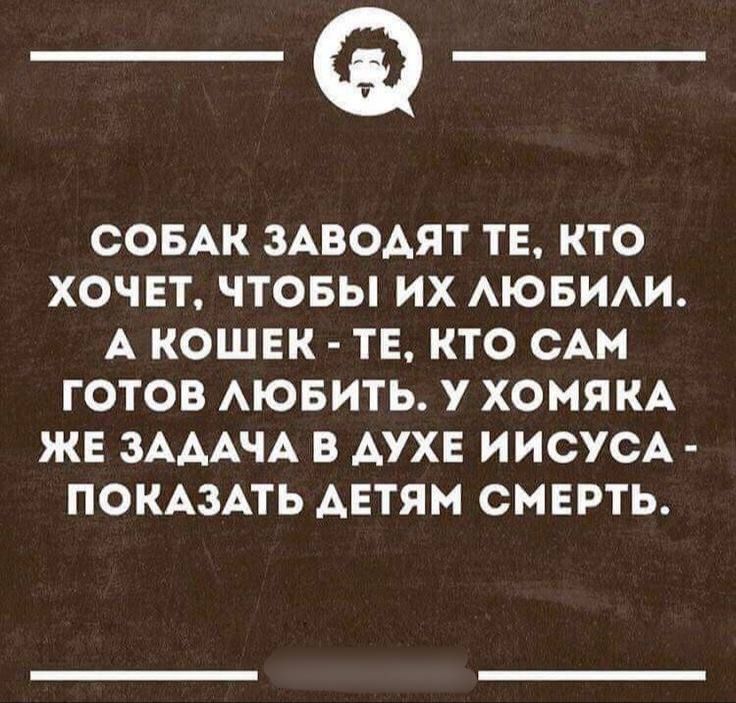 __ СОБАК ЗАВОДЯТ ТЕ КТО ХОЧЕТ ЧТОБЫ ИХ ЛЮБИЛИ А КОШЕК ТЕ КТО САМ ГОТОВ ЛЮБИТЬ У ХОМЯКА ЖЕ ЗАДАЧА В ДУХЕ ИИСУСА ПОКАЗАТЬ ДЕТЯМ СМЕРТЬ