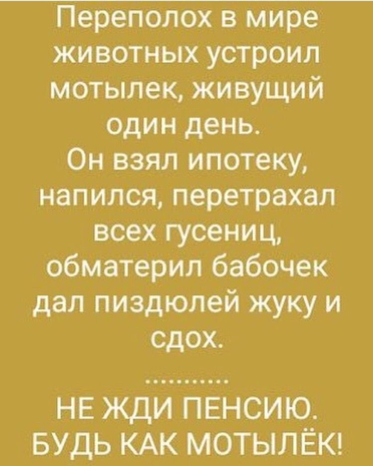 Переполох в мире животных устроил мотылек живущий один день Он взял ипотеку напился перетрахал всех гусениц обматерил бабочек дал пиздюлей жуку и сдох НЕ ЖДИ ПЕНСИЮ БУДЬ КАК МОТЫЛЁК