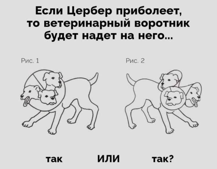 Если Цербер приболеет то ветеринарный воротник будет надет на него так иЛИ так